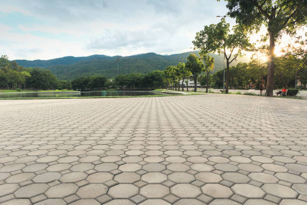 Professional Driveway Pavers in Pajaro, CA